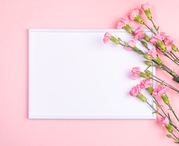 Fondo orizzontale minimo festivo di primavera con cornice con spazio bianco della copia e fiori di garofano su rosa pastello.