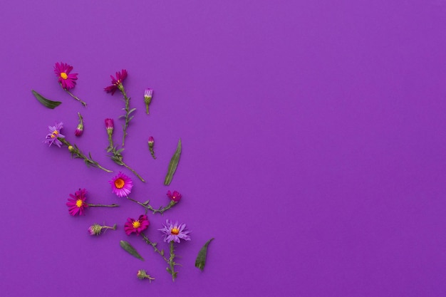 Fondo porpora della composizione del fiore di autunno