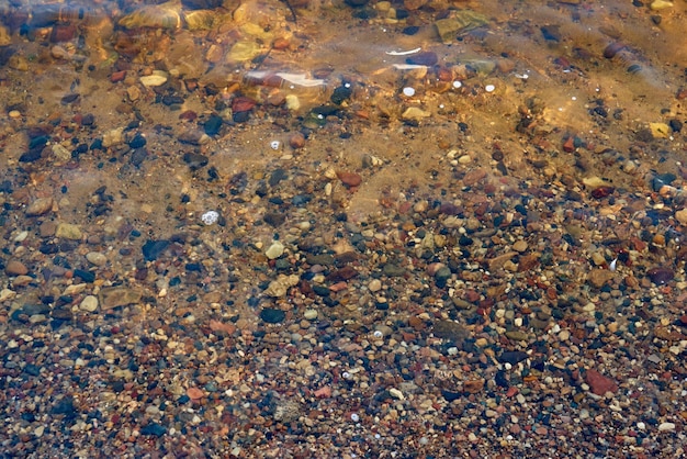 Fondo sabbioso e roccioso sotto l'acqua limpida per uno sfondo naturale astratto