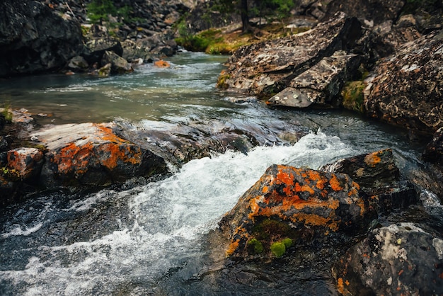 Fondo scenico della natura del flusso d'acqua limpida turchese tra rocce con muschi e licheni. Atmosferico paesaggio montano con pietre di muschio in un torrente di montagna trasparente. Bellissimo ruscello di montagna.