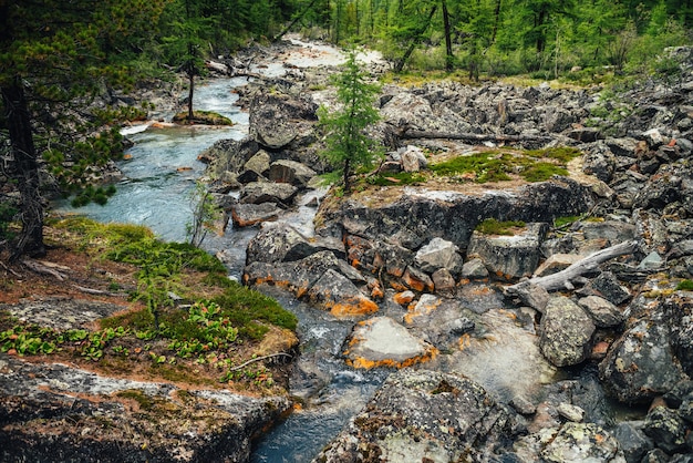 Fondo scenico della natura del flusso d'acqua limpida turchese tra rocce con muschi, licheni e flora selvatica. Atmosferico paesaggio montano con torrente di montagna trasparente. Bellissimo ruscello di montagna.