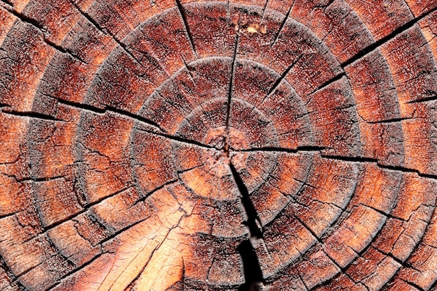 Fondo strutturato dalla vecchia parete esterna di legno di una macrofotografia del primo piano della casa