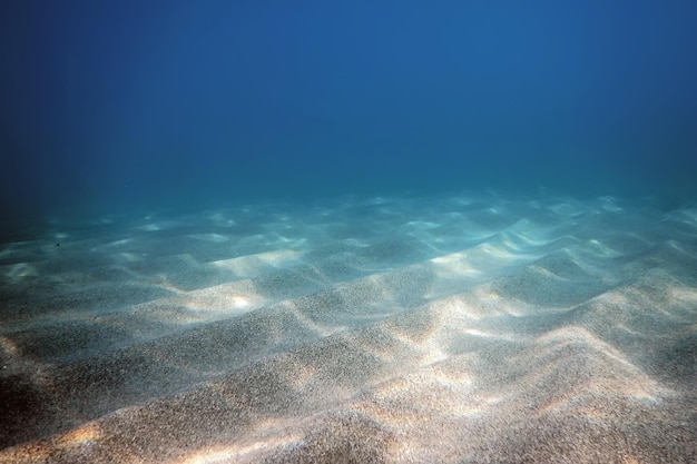 Fondo subacqueo del mare sabbioso, oceano blu subacqueo