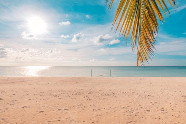Fondo tranquillo e sereno del tramonto della spiaggia, foglia di palma e mare calmo con il riflesso del sole vicino alla spiaggia sabbiosa