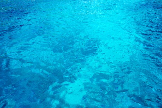 Fondo tropicale del mare blu delle Maldive