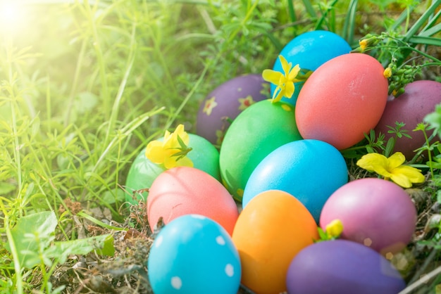 fondo variopinto di concetto di pasqua delle decorazioni di festa di caccia delle uova di Pasqua variopinte