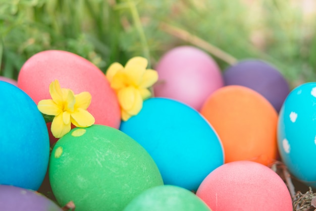 fondo variopinto di concetto di pasqua delle decorazioni di festa di caccia delle uova di Pasqua variopinte