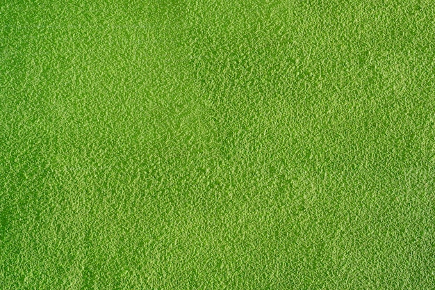 Fondo verde del muro di cemento con la struttura di rugosità decorativa e grano del dettaglio