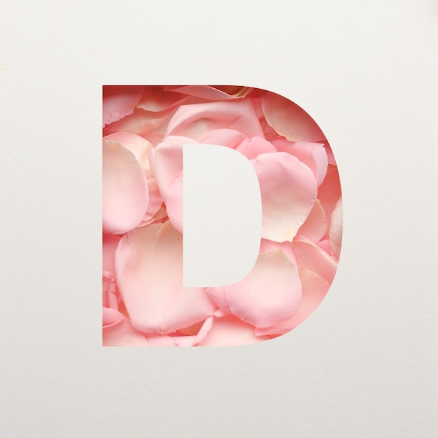 Font design, carattere alfabeto astratto con petali di rosa rosa, tipografia fiore realistico - D.