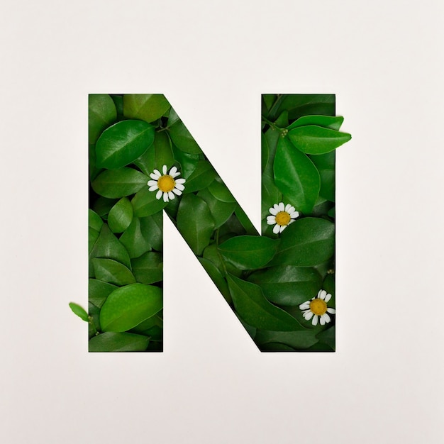 Font design, font alfabeto astratto con foglie e fiori, tipografia foglie realistiche - N.