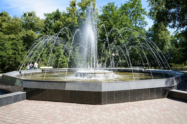 Fontana a getto nel parco su uno sfondo di alberi e cielo