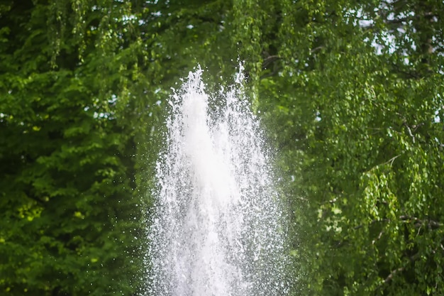 Fontana con acqua che scorre in un parco estivo