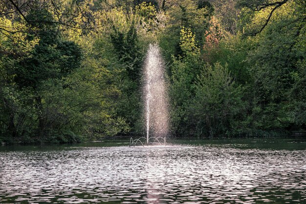 Fontana d'acqua in un parco pubblico soleggiato verde primaverile, sfondo stagionale naturale