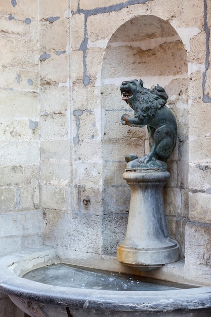 Fontana del leone nella parete del municipio