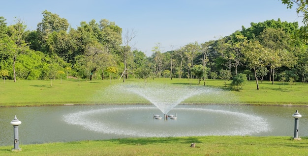 Fontana e laghetto nel parco verde