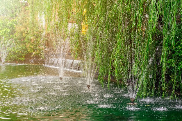 Fontana nel giardino dell&#39;hotel.