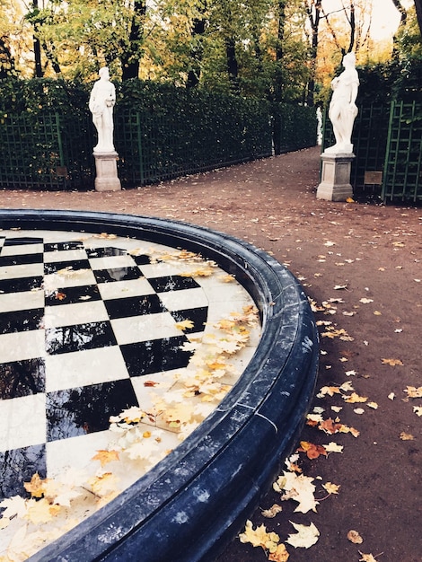 fontana nel parco autunnale