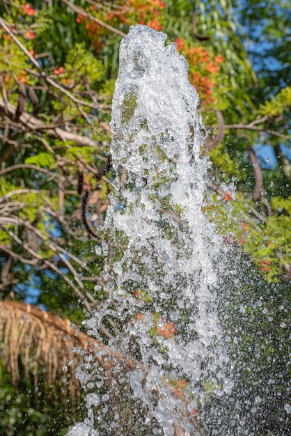 Fontana, spruzzi d'acqua da una fontana alla luce del sole, messa a fuoco selettiva.