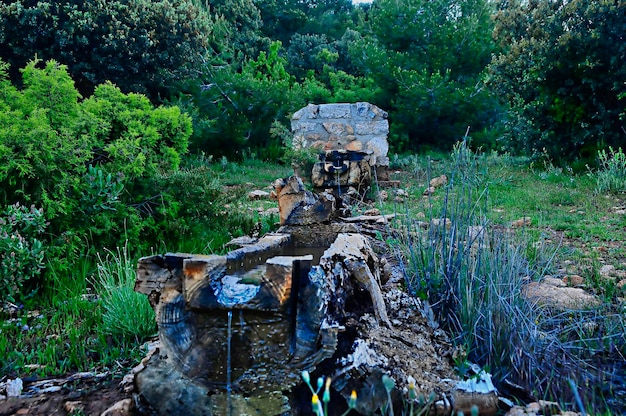 Fontane all'aperto e abbeveratoi