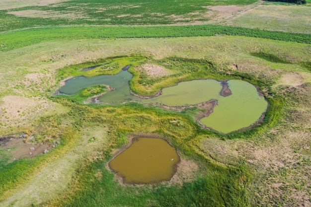 Fonte d'acqua dolce nel paesaggio delle Pampas in Argentina