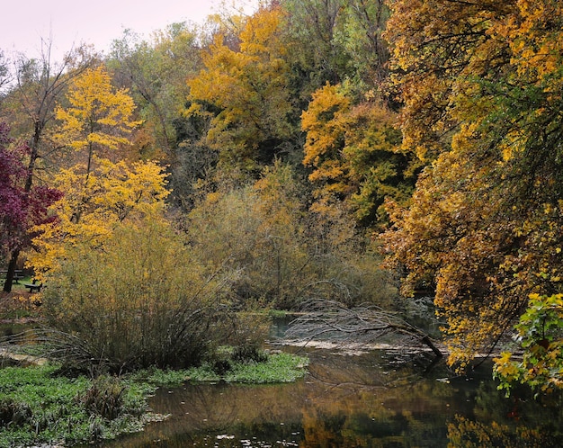 Fontibre è una città nel comune di Hermandad de Campoo de Suso Cantabria Spagna