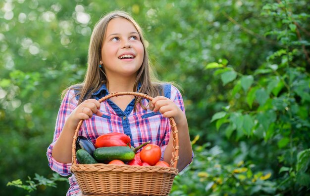 Food blogger kid on summer farm Raccolta di alimenti biologici vitamina primavera giardino orto bambina verdura in cestino Solo cibo naturale sano per bambini felice piccolo contadino raccolto autunnale