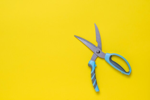 Forbici da cucina con manici blu su sfondo giallo brillante Strumento per la cucina