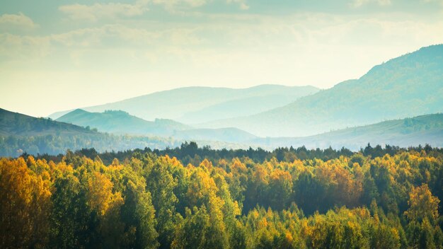 Foresta autunnale e montagne al tramonto Vista panoramica sulle montagne e sul cielo con nuvole Bellissimo sfondo naturale autunnale