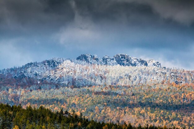 Foresta autunnale e montagne rocciose coperte di neve in una giornata nuvolosa