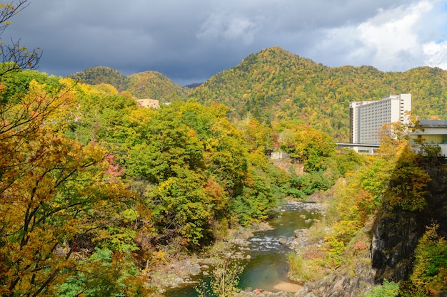 Foresta colorata nella stagione autunnale a Jozankei,