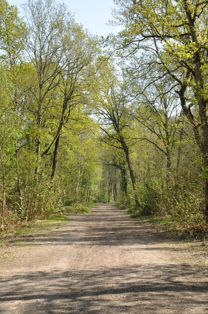 Foresta comunale di Saint-Pierre-Lès-Elbeuf