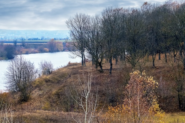 Foresta con alberi spogli vicino al fiume nel tardo autunno