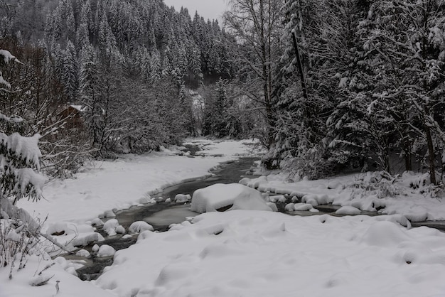 Foresta d'inverno e fiume nella regione di montagna Vacanze invernali