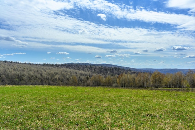 Foresta degli Urali meridionali con una vegetazione paesaggistica unica e diversità della natura