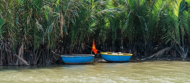 Foresta del fiume di cocco con barche a canestro un vietnamita unico al villaggio di Cam thanh Punto di riferimento e popolare per le attrazioni turistiche di Hoi An Vietnam e concetti di viaggio nel sud-est asiatico