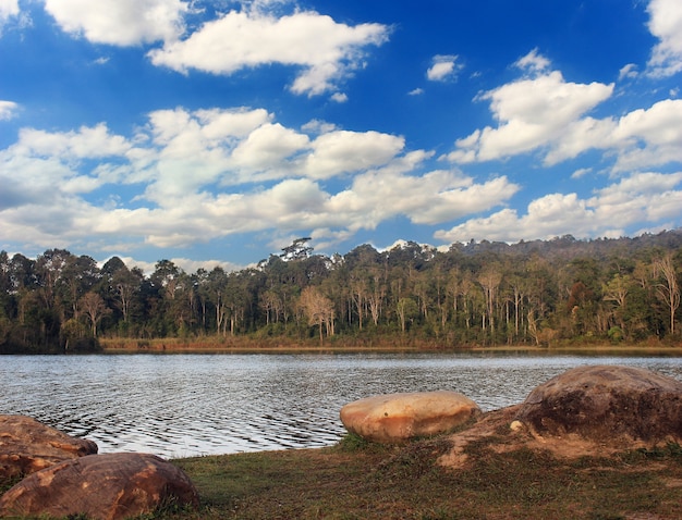 Foresta del lago con cielo blu e nuvole