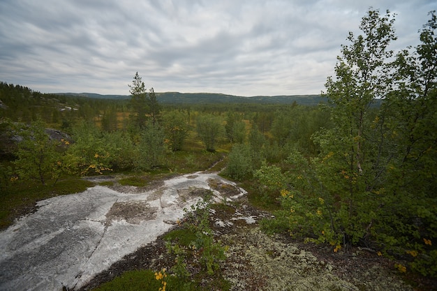 Foresta del nord bellissima natura incredibile