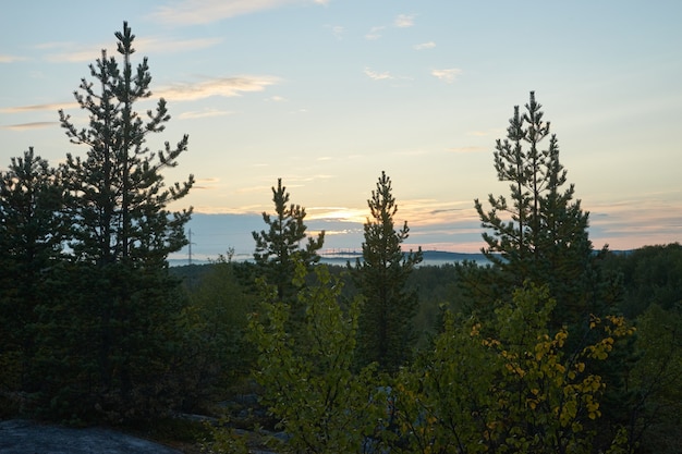 Foresta del nord bellissima natura incredibile