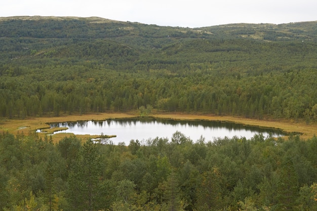 Foresta del nord bellissima natura incredibile