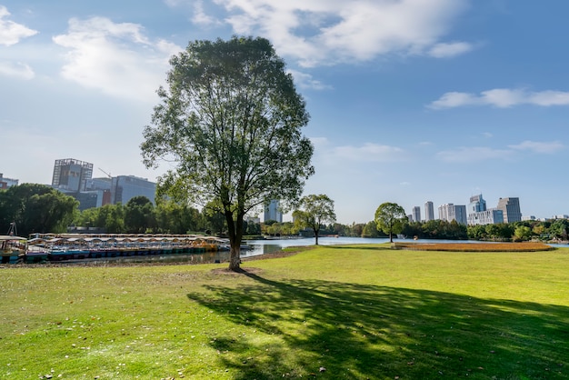 Foresta del parco e paesaggio urbano di architettura di Ningbo