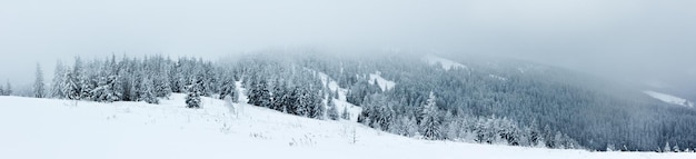 Foresta di abeti coperti di neve nel paesaggio invernale