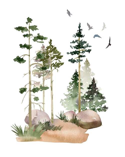 Foresta di acquerelli