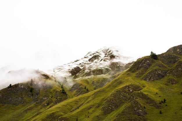 Foresta di alberi alpini sulla montagna con la catena montuosa più alta e più ampia delle Alpi a Samnaun un villaggio alpino nella regione dei Grigioni della Svizzera