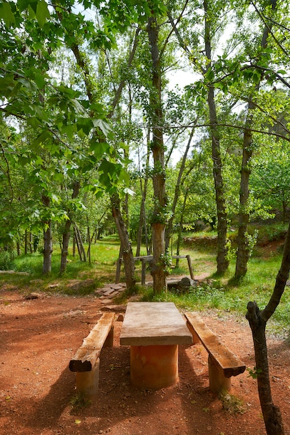 Foresta di Espadan a Castellon in Spagna