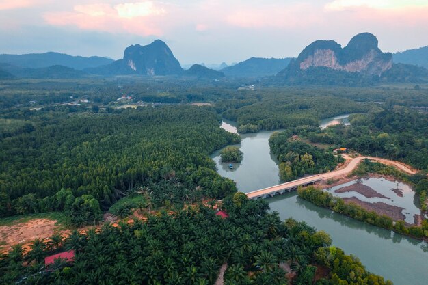 Foresta di mangrovie ad alto angolo e acqua del canale