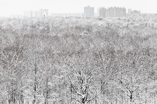 Foresta di neve e città nelle nevicate invernali