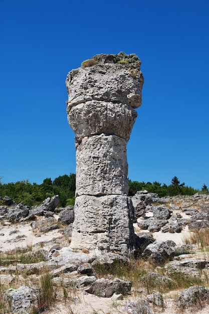 Foresta di pietra, Pobiti Kamani a Varan, Bulgaria