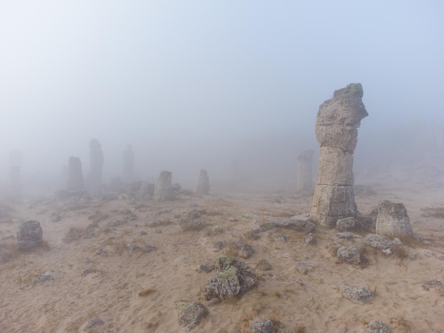 Foresta di pietra Pobiti Kamani nella nebbia Varna Bulgaria