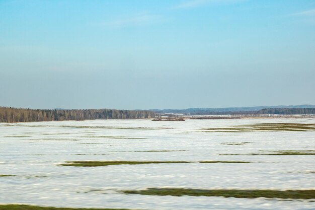 Foresta e case del campo del paesaggio soleggiato di inverno