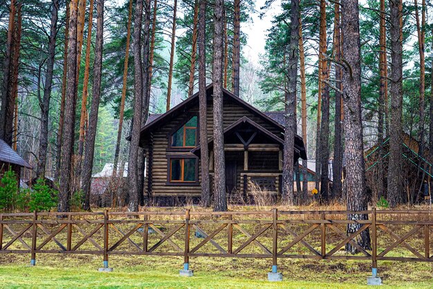 Foresta e grande casa in esso giorno d'estate